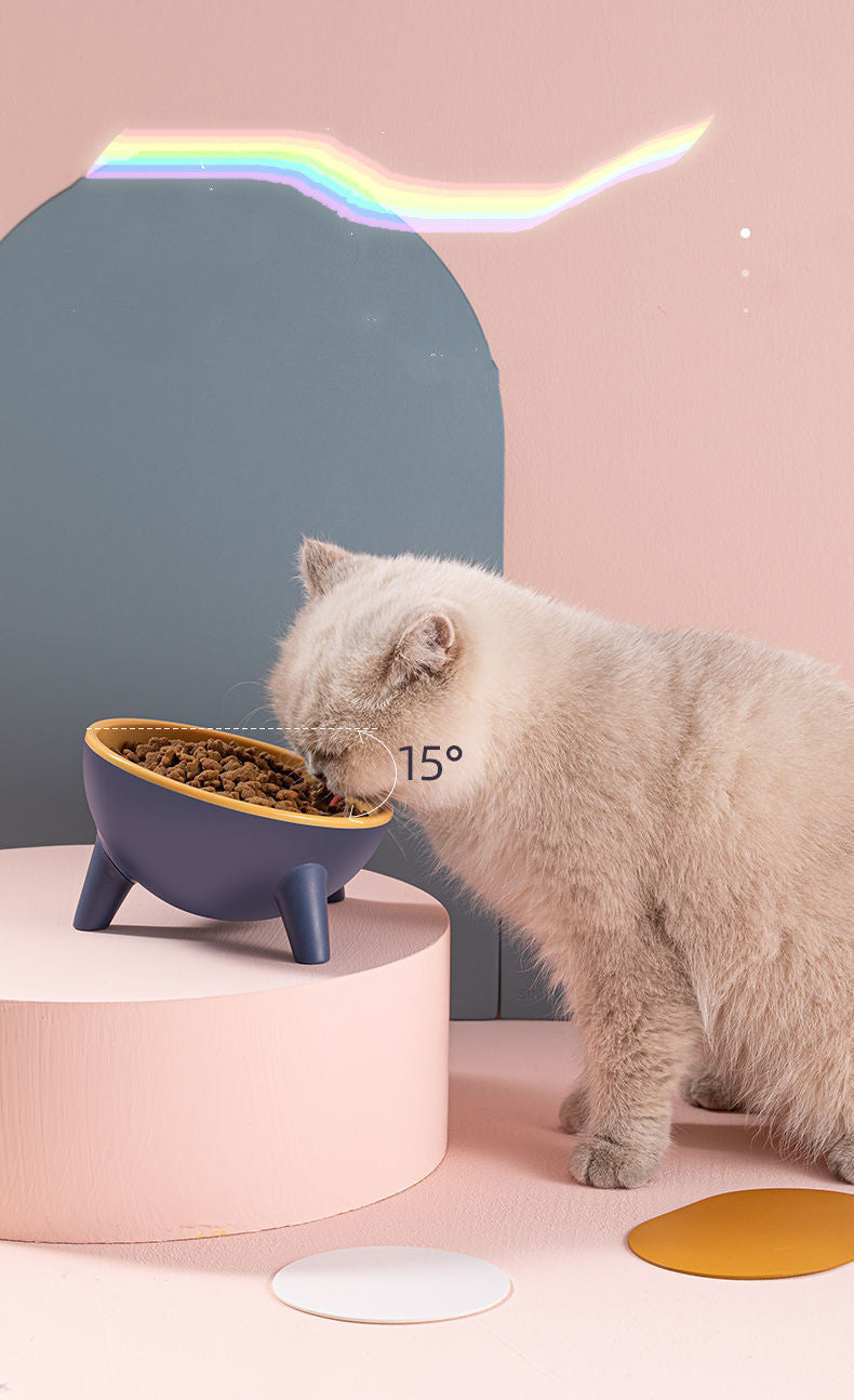 Pet Bowl with Stand for Cats and Dogs