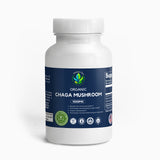 Chaga Mushroom