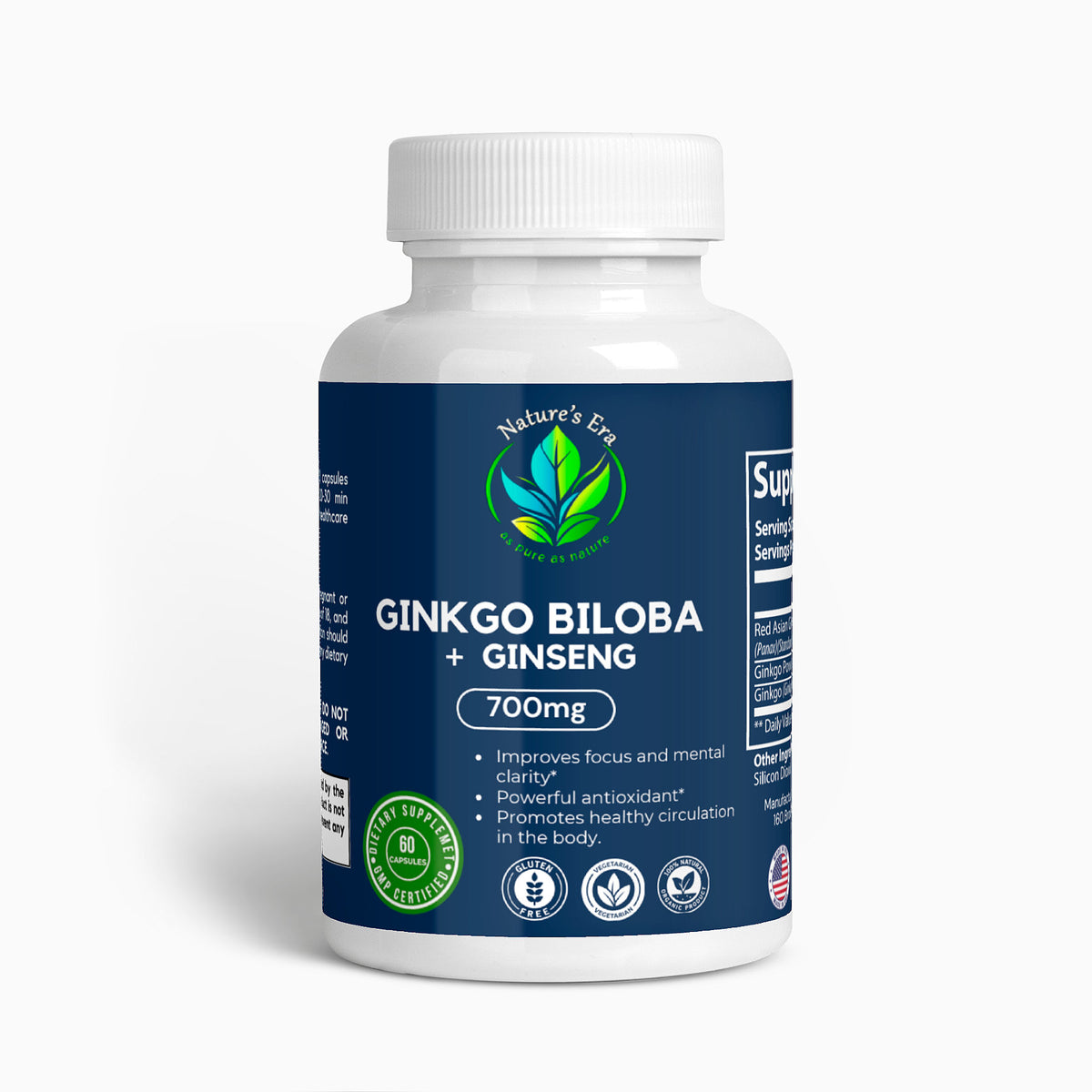 Ginkgo Biloba + Ginseng