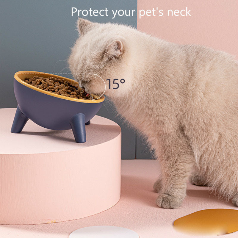 Pet Bowl with Stand for Cats and Dogs