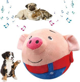 Interactive Plush Dog Toy - Squeaky & Washable