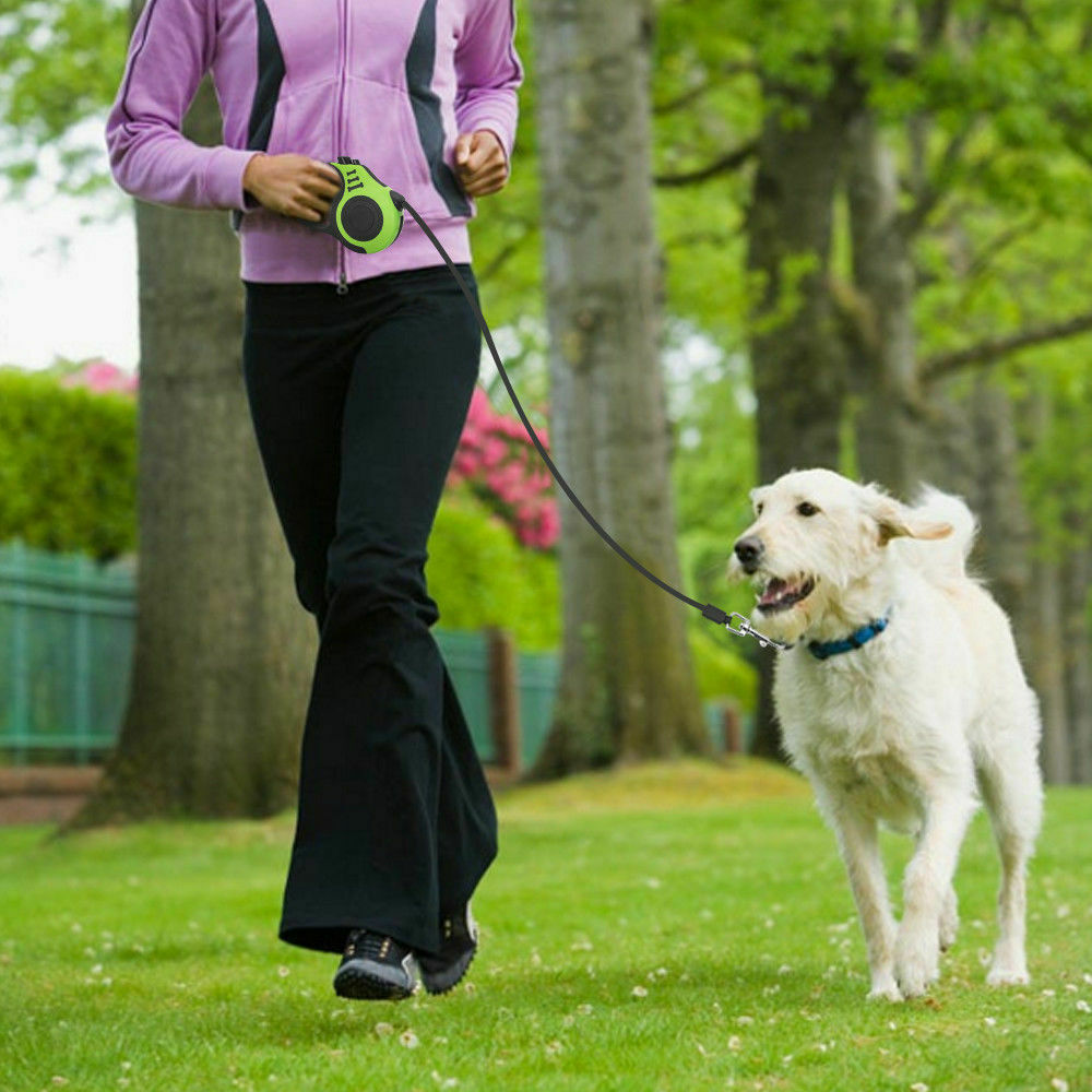 Automatic Retractable Dog Leash with Pet Collar