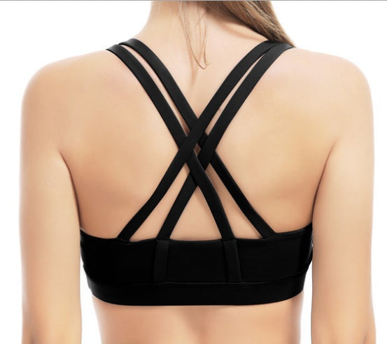 Women's Seamless Padded Sports Bra