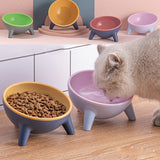 Pet Bowl with Stand for Cats and Dogs