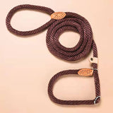 Traction Collar Integrated Training Dog Leash