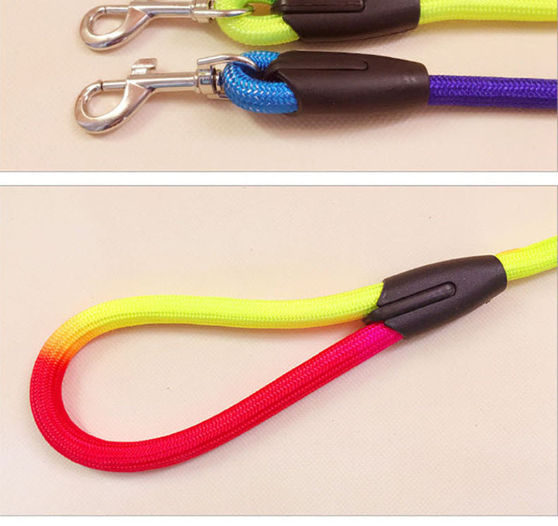 Colorful Nylon Dog Rope