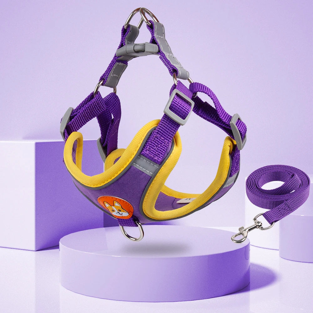 Adjustable Reflective Dog Harness and Leash Set