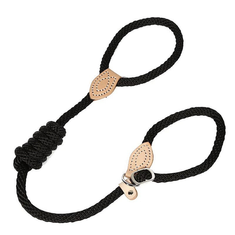 Traction Collar Integrated Training Dog Leash