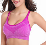 Shockproof Sports Bra