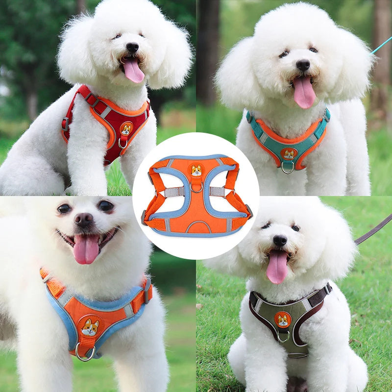 Adjustable Reflective Dog Harness and Leash Set