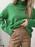 Turtleneck Drop Shoulder Long Sleeve Sweater